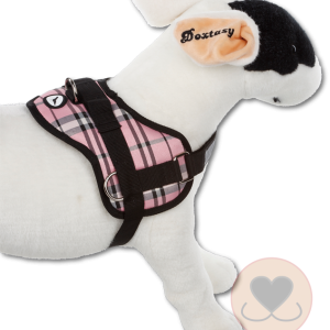 Survival Harness Scottish Pink