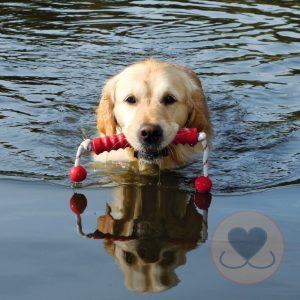 Drijvende trainingsdummy