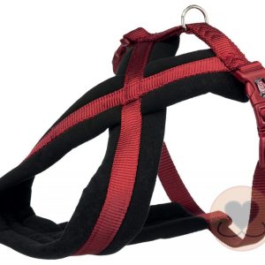 Premium Touren Tuig – Burgundy