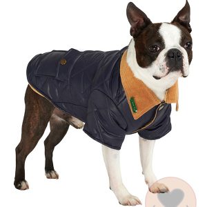 Urban Pup Navy Blue Quilted Town & Country Coat