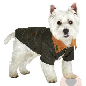 Urban Pup Forest Green Quilted Town & Country Coat