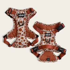 Hike & Go Lite™ Harnas – Pumpkin Farm