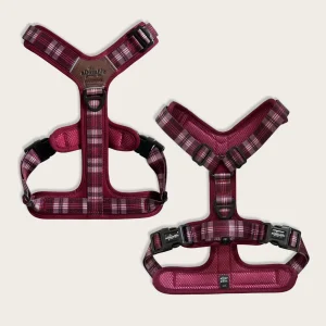 Streamline Pro™ Harnas – Merlot Manor