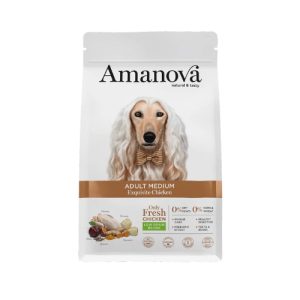 AM Adult Medium Exquisite Chicken