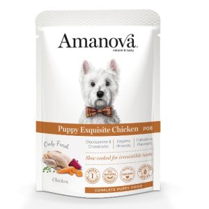 AM Puppy Exquisite Chicken – P08