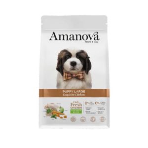 AM Puppy – Large Exquisite Chicken