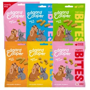 E&C Bites – Trainers