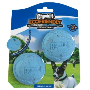 Chuckit! Rebounce Fetch Ball