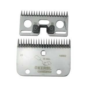 Constanta 2 Messenset