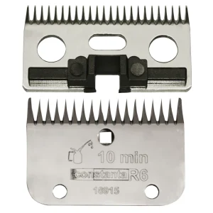 Constanta Rodeo Messenset