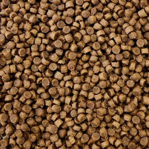 Premium Egelvoer – The Bird Family