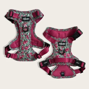 Hike & Go Lite™ Harnas – Crab Apple Cottage