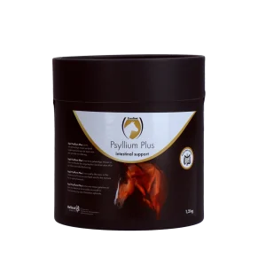 Excellent Horse Psyllium Plus