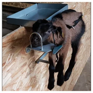 Express Lam-/geithouder