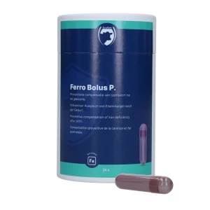 Excellent Ferro Bolus P