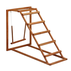 Gaun Chicken Activity Center