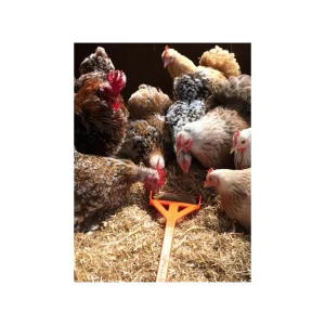 Hentastic Fun Feeder