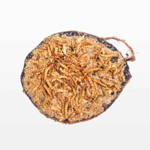 Halve gevulde kokosnoot – Meelworm