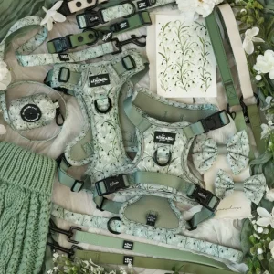 Hike & Go Lite™ Harnas – Silent Snowdrops