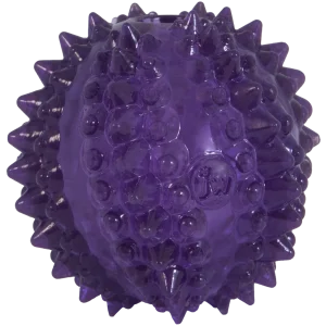 JW Puppy - Bristl-ee Cactus Ball