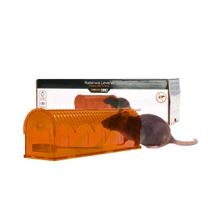 Knock Pest Rattenval Levend