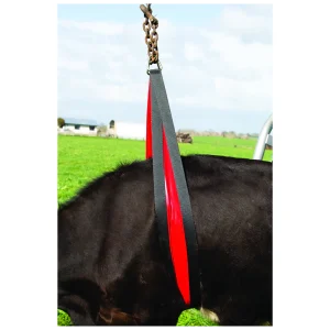 Koelifter Belly Strap Front Lift