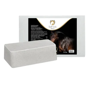 Excellent Horse Salt Lick Naturel