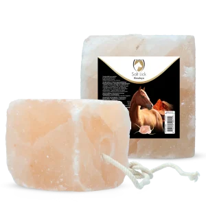 Excellent Horse Salt Lick Himalaya