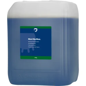 Excellent Maxi Dip Blue