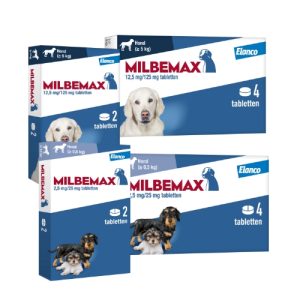 Milbemax Hond