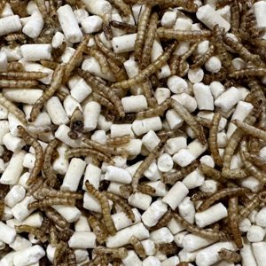 Premium Insecten Vetpellets met gedroogde meelwormen