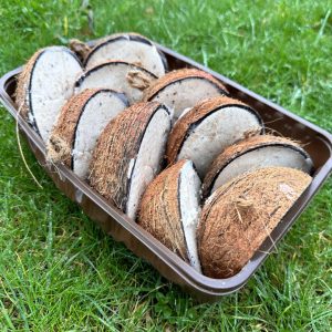 Halve gevulde kokosnoot – High Energy – 10 pack