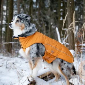 Wolters Winterjas Amundsen Oranje