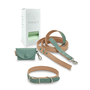 Wandelset hondenhalsband