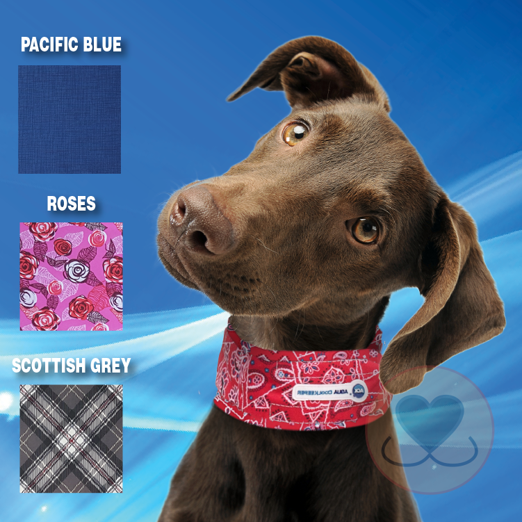 Verkoelende halsband – Roses pink - Afbeelding 3