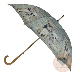 Paraplu Teak 2 Chihuahua’s