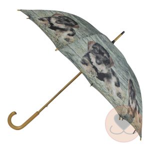 Paraplu Teckel