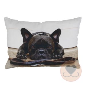 Canvas kussen humor Franse Bulldog