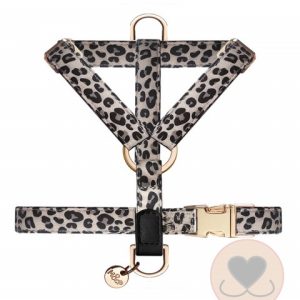 Milk & Pepper “H” tuigje Kenia