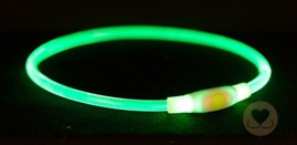 Trixie Halsband USB Flash Light * groen