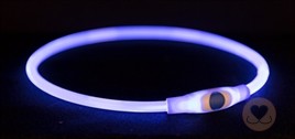 Trixie Halsband USB Flash Light * blauw