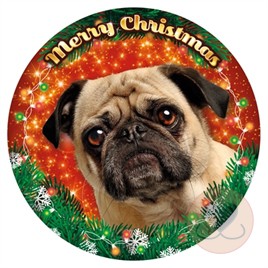 PLENTY GIFTS XMAS LED LIGHT MOPSHOND