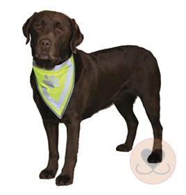 Reflecterende Bandana geel  XS-S 22-28 cm