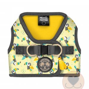 Milk & Pepper Tuigje Vitoria